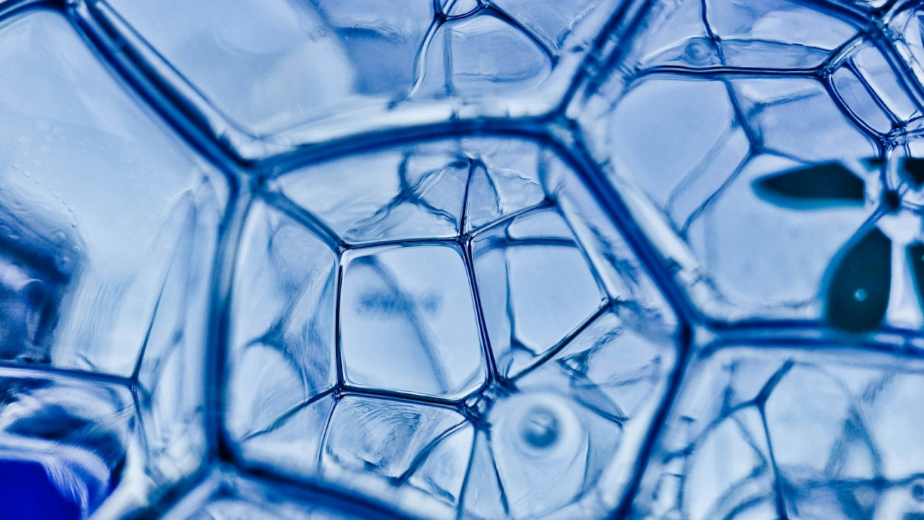 closeup photography of water bubbles